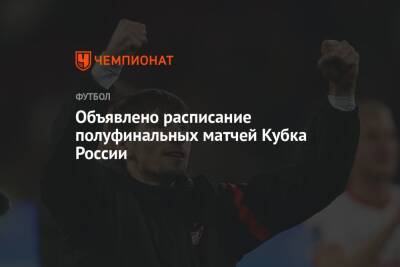 Объявлено расписание полуфинальных матчей Кубка России - championat.com - Москва - Россия - респ. Алания