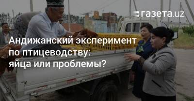 Андижанский эксперимент по птицеводству: яйца или проблемы? - gazeta.uz - Узбекистан - Голландия