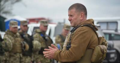 Валерий Залужный - "Кровеносная система армии": Залужный о волонтерах и фондах помощи ВСУ - focus.ua - Украина