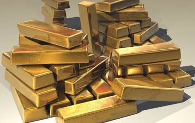 Янукович - У экс-министра изъяли 48 кг золота - korrespondent.net - Украина