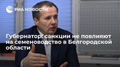 Вячеслав Гладков - Губернатор Гладков: санкции не повлияют на развитие семеноводства в регионе - smartmoney.one - Белгородская обл.