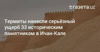 Термиты нанесли серьёзный ущерб 33 историческим памятникам в Ичан-Кале - gazeta.uz - Узбекистан