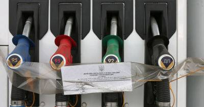 Сергей Куюн - Забудьте про А-92: АЗС в Украине могут перестать продавать бензин в розницу, – прогноз - focus.ua - Россия - Украина - Белоруссия