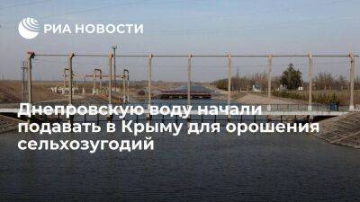 Сергей Аксенов - Воду из Северо-Крымского канала начали подавать в Крыму для орошения сельхозугодий - smartmoney.one - Россия - Украина - Крым