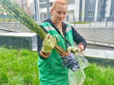 Т.Г.Шевченко - У пенсионерки Надежды, которая прислала для Харькова саженцы деревьев, появились последователи - objectiv.tv - Украина - Ивано-Франковская обл. - Харьков - Тернопольская обл.