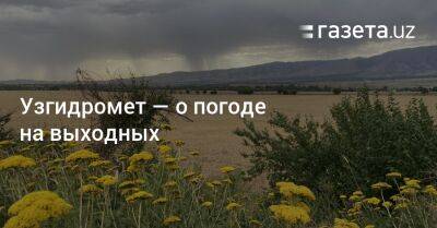 Узгидромет — о погоде на выходных - gazeta.uz - Узбекистан - Иран - Самаркандская обл. - Сурхандарьинская обл.