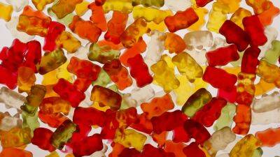 Производитель мармелада Haribo остановит поставки в Россию - svoboda.org - Россия - Украина