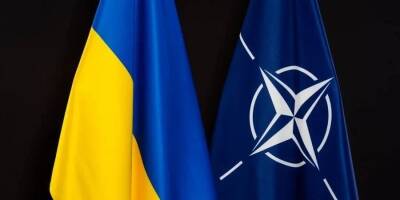Давид Арахамия - Если на референдуме украинцы поддержат движение в НАТО, будут новые переговоры с Россией — Арахамия - nv.ua - Россия - Китай - США - Украина - Англия - Израиль - Турция - Германия - Франция - Польша - Стамбул
