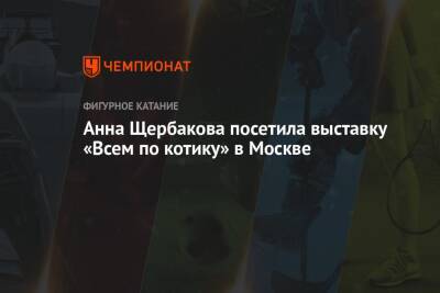 Анна Щербакова - Анна Щербакова посетила выставку «Всем по котику» в Москве - championat.com - Москва - Россия - Китай - Пекин