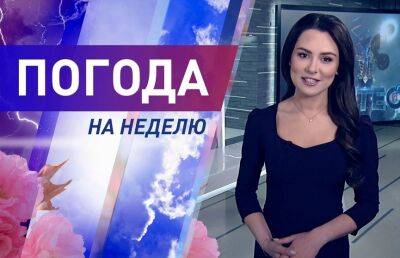 Тепло, дождливо, не исключен снег. Погода на неделю со 2 по 8 мая. Подробный прогноз от синоптика Рябова - ont.by - Белоруссия