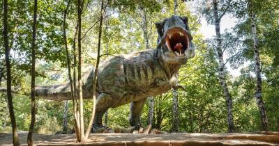 Эволюция уменьшила лапы тираннозавров, чтобы их не откусили враги, – ученые - focus.ua - Украина