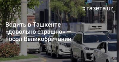 Водить в Ташкенте «довольно страшно» — посол Великобритании - gazeta.uz - Англия - Узбекистан - Лондон - Ташкент