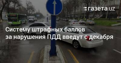 Абдулла Арипов - Систему штрафных баллов за нарушения ПДД введут с декабря - gazeta.uz - Узбекистан