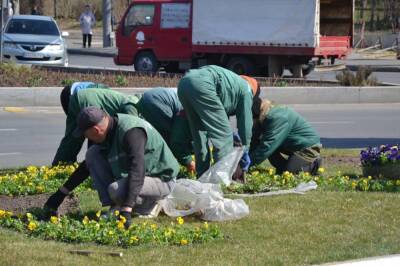 На площади Десятого апреля в Одессе высаживают весенние цветы | Новости Одессы - odessa-life.od.ua - Украина - Одесса