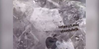 Оккупант выбросил бронепластину своего бронежилета, чтобы украсть MacBook — видео - nv.ua - Россия - Украина