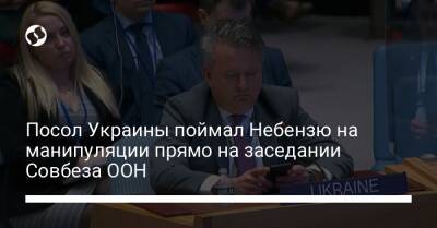 Сергей Кислиц - Посол Украины поймал Небензю на манипуляции прямо на заседании Совбеза ООН - liga.net - Россия - Украина