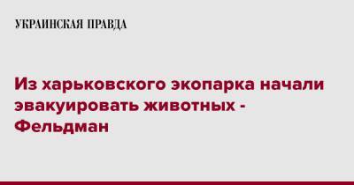 Александр Фельдман - Из харьковского экопарка начали эвакуировать животных - Фельдман - pravda.com.ua - Украина