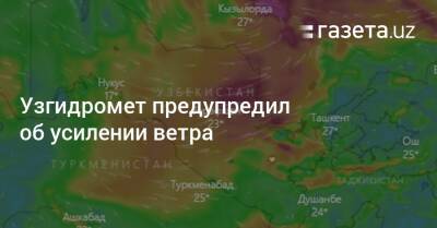 Узгидромет предупредил об усилении ветра - gazeta.uz - Узбекистан - Навоийской обл.