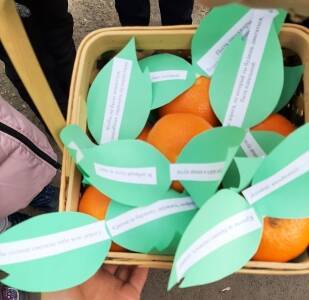 Сотрудники Госавтоинспекции Кунгура совместно со школьниками провели акцию «Витамин безопасности» - iskra-kungur.ru - Россия - Пермь