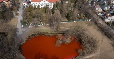 ФОТО: Вода в пруду около российского посольства в Литве окрасилась в кровавый цвет - rus.delfi.lv - Россия - Литва - Вильнюс - Латвия