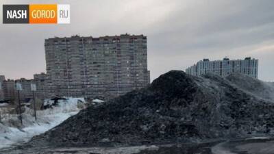 Горы черного снега до сих пор тают в Тюмени во дворах - nashgorod.ru - Тюмень