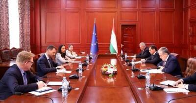 Сироджиддин Мухриддин - Министр иностранных дел Таджикистана встретился со Специальным представителем Европейского Союза по Афганистану - dialog.tj - Таджикистан - Афганистан