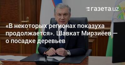 Шавкат Мирзиеев - Шерзод Асадов - «В некоторых регионах показуха продолжается». Шавкат Мирзиёев — о посадке деревьев - gazeta.uz - Узбекистан - Ташкент