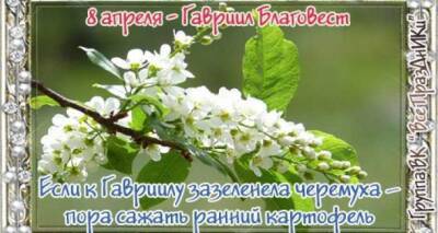 Сегодня Гавриил Благовест. В этот день обычно рождаются некрасивые люди - cxid.info - Россия - Украина