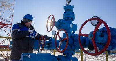 Владимир Путин - Роберт Хабек - Германия поддержит нефтяное эмбарго ЕС на российскую нефть - focus.ua - Россия - Украина - Германия - Венгрия