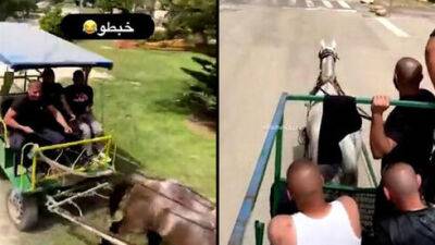 Видео: арабы из Акко гоняли по кибуцу Кфар-Масрик на тарантасах и угрожали жителям - vesty.co.il - Израиль - Акко