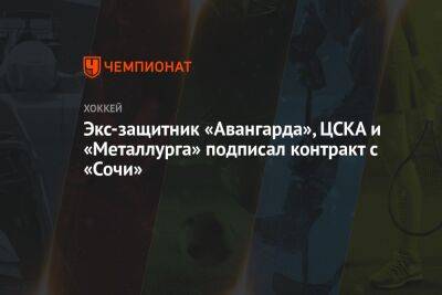 Экс-защитник «Авангарда», ЦСКА и «Металлурга» подписал контракт с «Сочи» - championat.com - Сочи - Финляндия