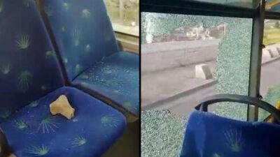 Пятеро арабов забросали камнями автобусы в Иерусалиме - и пойдут под суд - vesty.co.il - Украина - Израиль - Иерусалим - Восточный Иерусалим