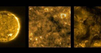 Блуждающие огни на Солнце. Ученые нашли объяснение ярким точкам на звезде (фото) - focus.ua - Украина