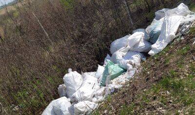 Тюменцы обнаружили горы мусора в районе озера Оброчное - nashgorod.ru - Ханты-Мансийск - Тюмень