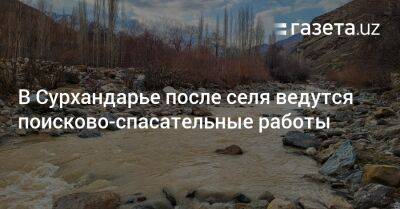 В Сурхандарье после селя ведутся поисково-спасательные работы - gazeta.uz - Узбекистан - Сурхандарьинская обл.