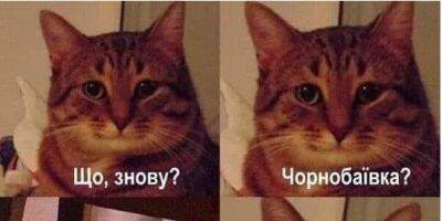 Алексей Арестович - В Харьковской области появилась еще одна «Чернобаевка» — Арестович - nv.ua - Россия - Украина - Харьковская обл.