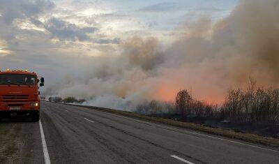 В Тюменской области действуют 11 лесных пожаров - nashgorod.ru - Тюменская обл. - Тобольск - Ялуторовск
