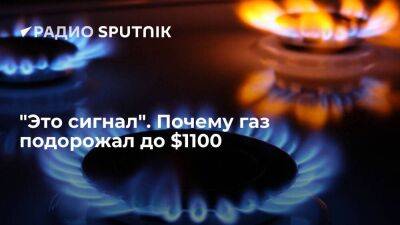 Алексей Зубец - "Это сигнал". Почему газ подорожал до $1100 - smartmoney.one - Россия