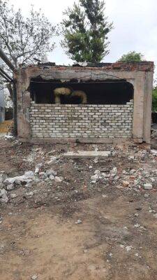 В Харькове восстанавливают котельную, в которую прилетела авиабомба (фото) - objectiv.tv - Украина - Харьков
