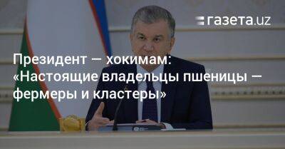 Президент — хокимам: «Настоящие владельцы пшеницы — фермеры и кластеры» - gazeta.uz - Узбекистан