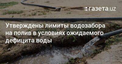 Утверждены лимиты водозабора на полив в условиях ожидаемого дефицита воды - gazeta.uz - Узбекистан