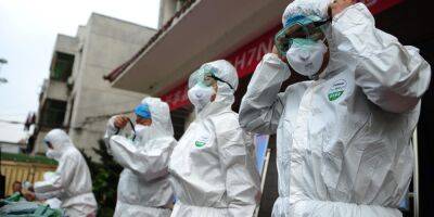 Новая пандемия? В Европе пытаются побороть птичий грипп вакцинацией, но предупреждают о риске для людей - nv.ua - Китай - Украина - Франция