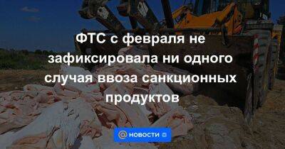ФТС с февраля не зафиксировала ни одного случая ввоза санкционных продуктов - smartmoney.one - Россия - Белоруссия - респ. Чувашия
