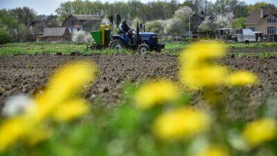 Европейский союз заявил, что поможет Украине экспортировать зерно - svoboda.org - Китай - Украина - Херсон - Мариуполь - Бердянск - Скадовск