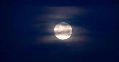 Луна влияет на температуру на Земле: ученые рассказали, как именно - focus.ua - Украина - Англия