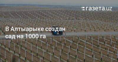 Шавкат Мирзиеев - В Алтыарыке создан сад на 1000 га - gazeta.uz - Узбекистан