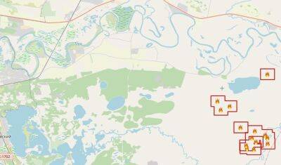 Около Тюмени уже третий день фиксируется крупный пожар - nashgorod.ru - Тюмень - населенный пункт Угрозы