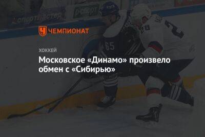 Московское «Динамо» произвело обмен с «Сибирью» - championat.com - Москва - Санкт-Петербург - Уфа