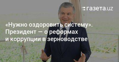 Шавкат Мирзиеев - «Нужно оздоровить систему». Президент — о реформах и коррупции в зерноводстве - gazeta.uz - Узбекистан