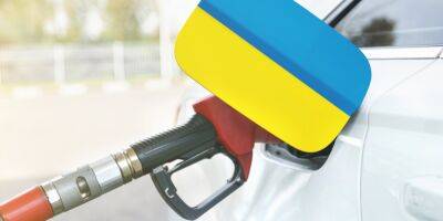 Юлия Свириденко - Когда закончится дефицит бензина. Сколько топлива получит Украина из ЕС в мае, как выросли поставки и накажут ли «мародеров на АЗС» - biz.nv.ua - Украина - Венгрия - Польша - Дунай